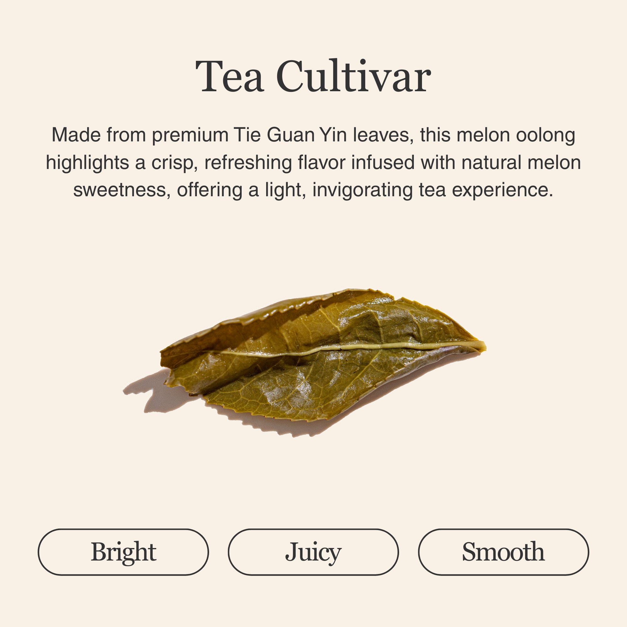 Melon Oolong Tea