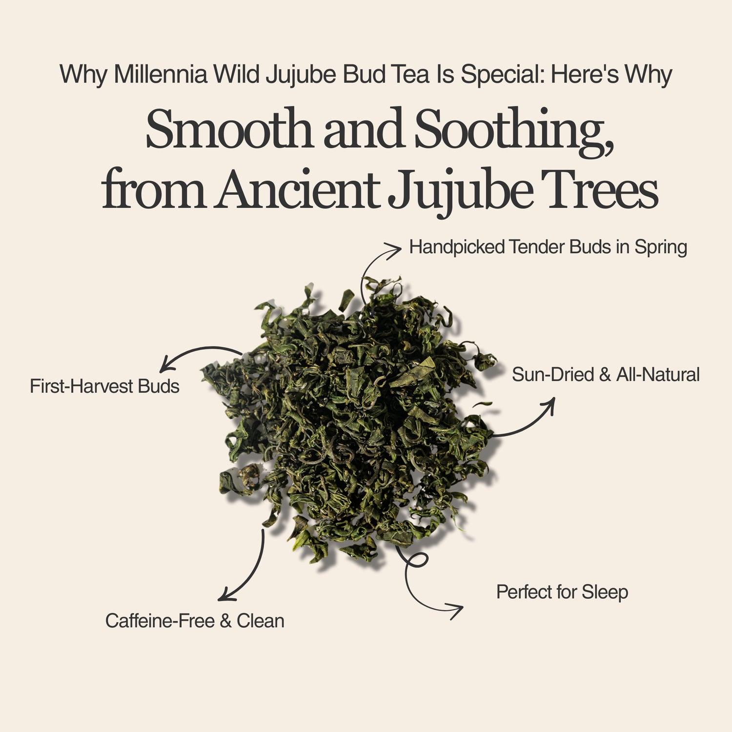 Millennia Wild Jujube Bud Herbal Tea – 50 g (1.8 oz)