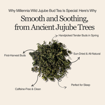 Millennia Wild Jujube Bud Herbal Tea – 50 g (1.8 oz)