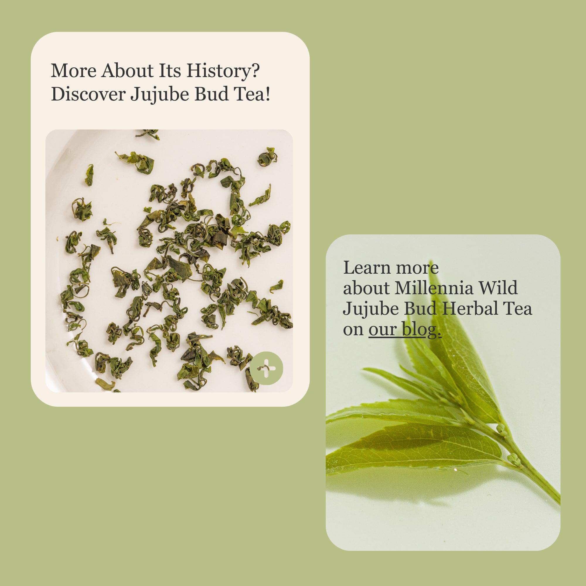 Millennia Wild Jujube Bud Herbal Tea – 50 g (1.8 oz)