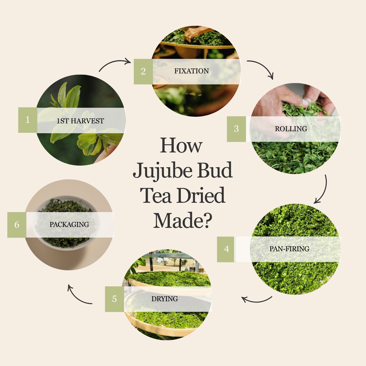 Millennia Wild Jujube Bud Herbal Tea – 50 g (1.8 oz)
