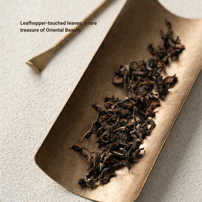 Oriental Beauty Oolong Tea