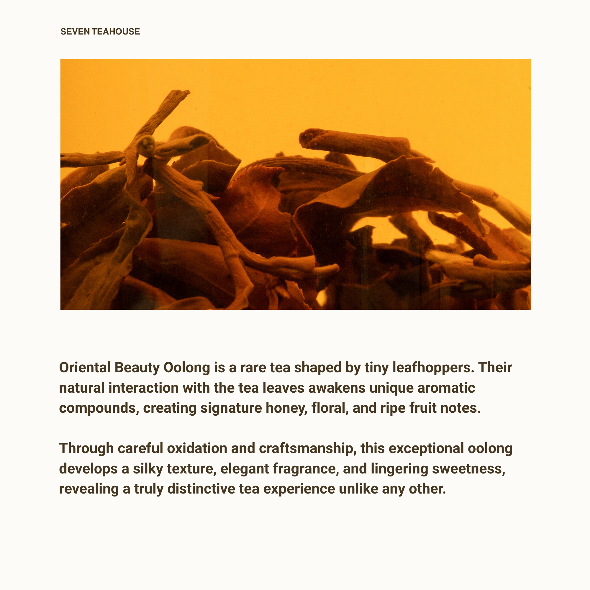 Oriental Beauty Oolong Tea