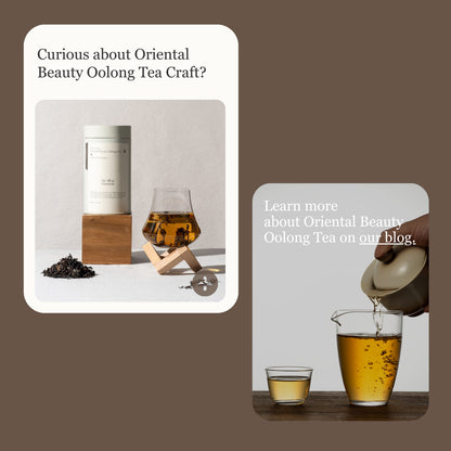 Oriental Beauty Oolong Tea