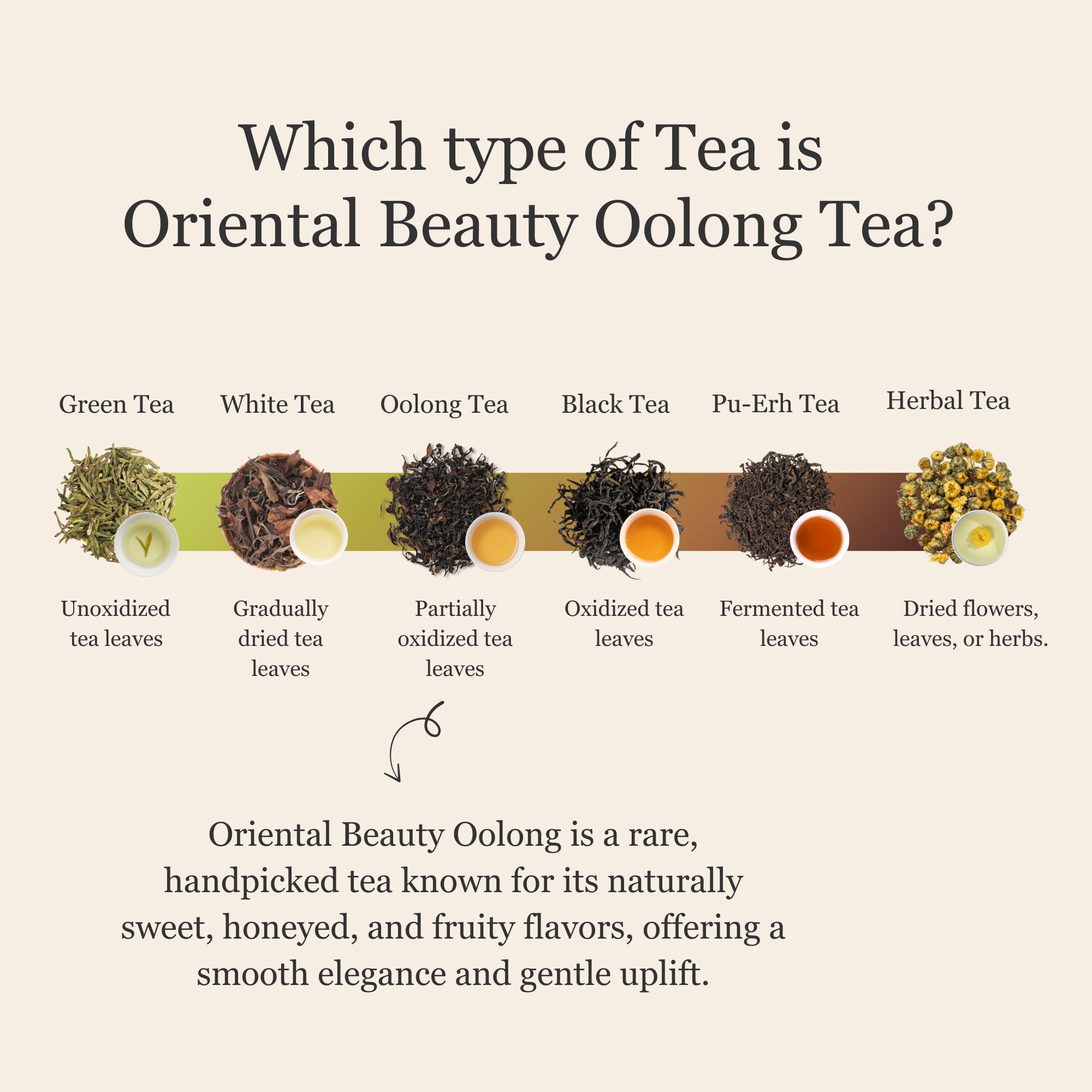 Oriental Beauty Oolong Tea