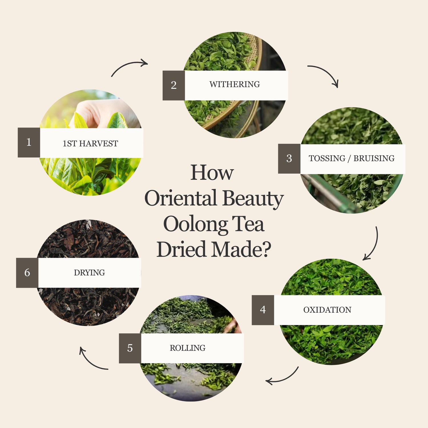 Oriental Beauty Oolong Tea