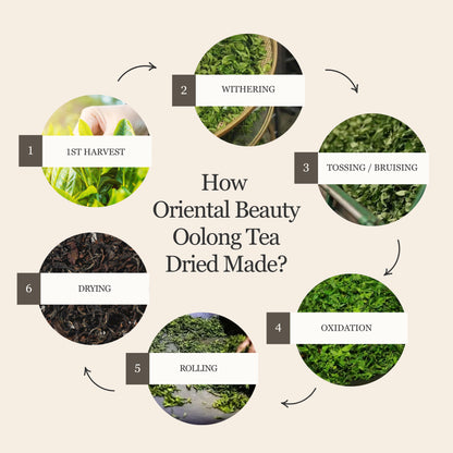 Oriental Beauty Oolong Tea