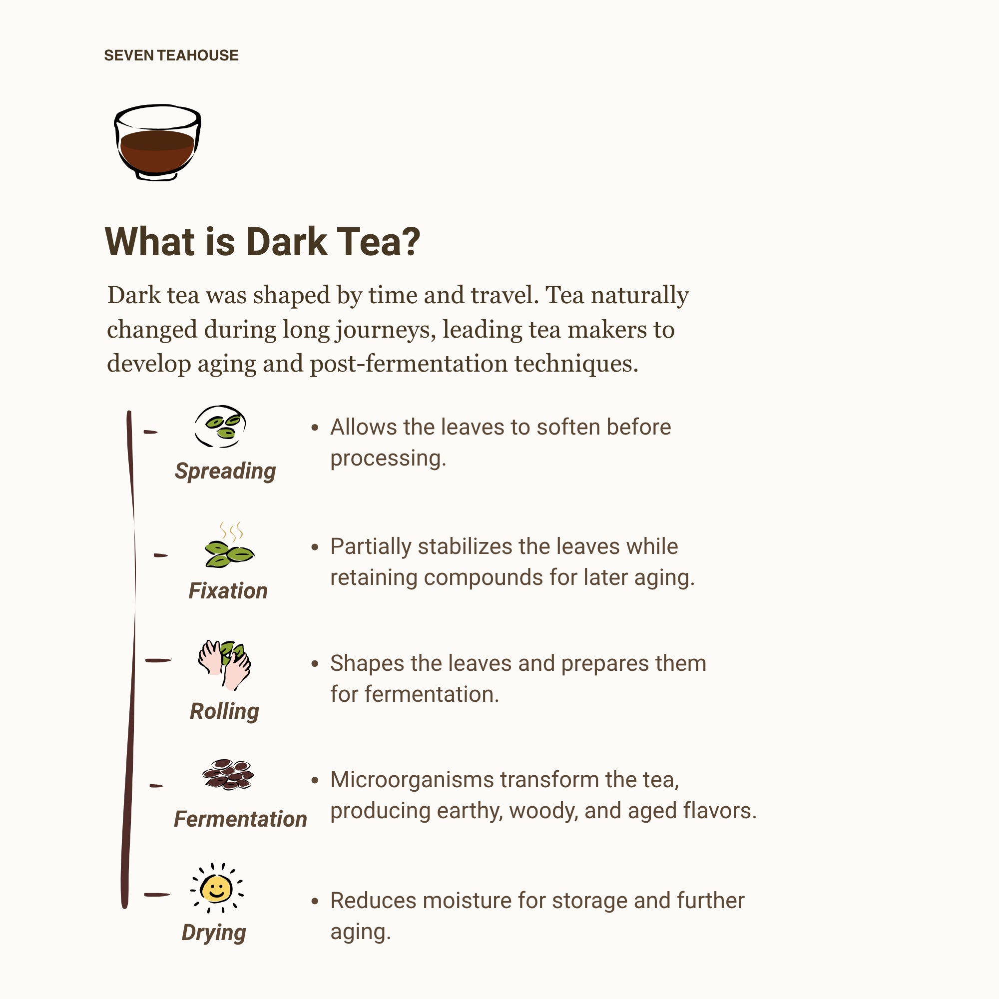 Peach Aroma Liu Bao Dark Tea