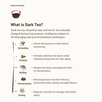 Peach Aroma Liu Bao Dark Tea