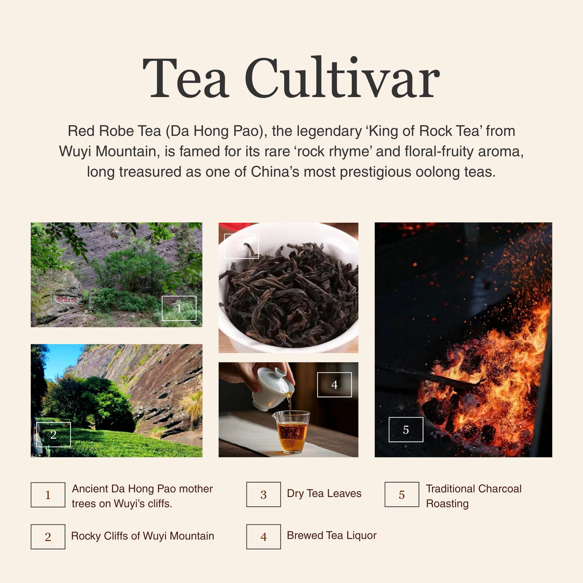Da Hong Pao (Red Robe Tea) – 50 g (1.8 oz)