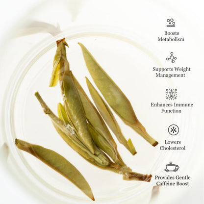 Silver Needle White Tea