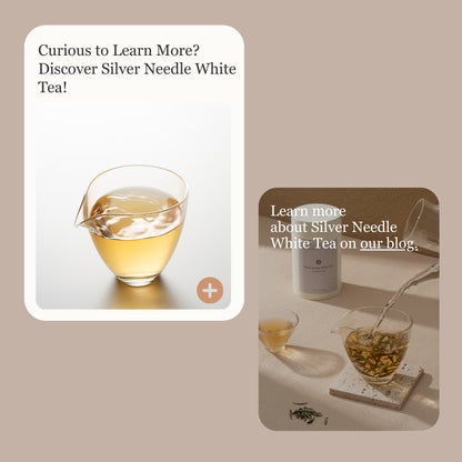 Silver Needle White Tea
