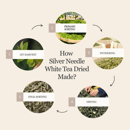 Silver Needle White Tea