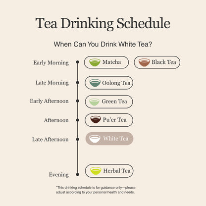 Silver Needle White Tea