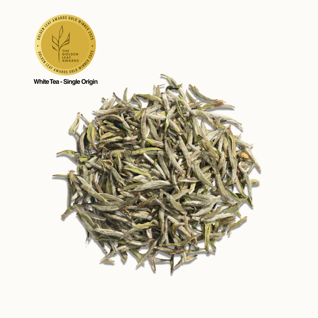 Silver Needle White Tea