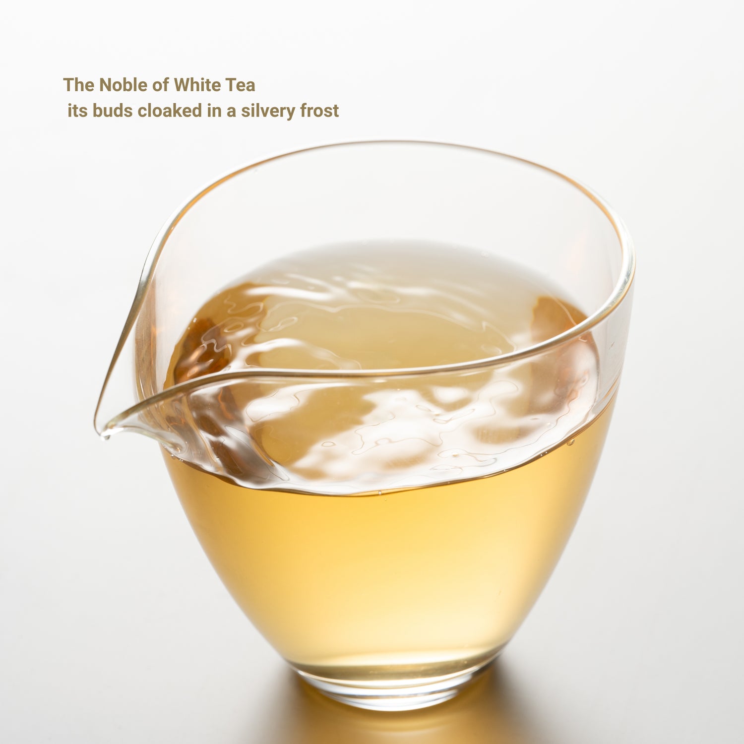 Silver Needle White Tea