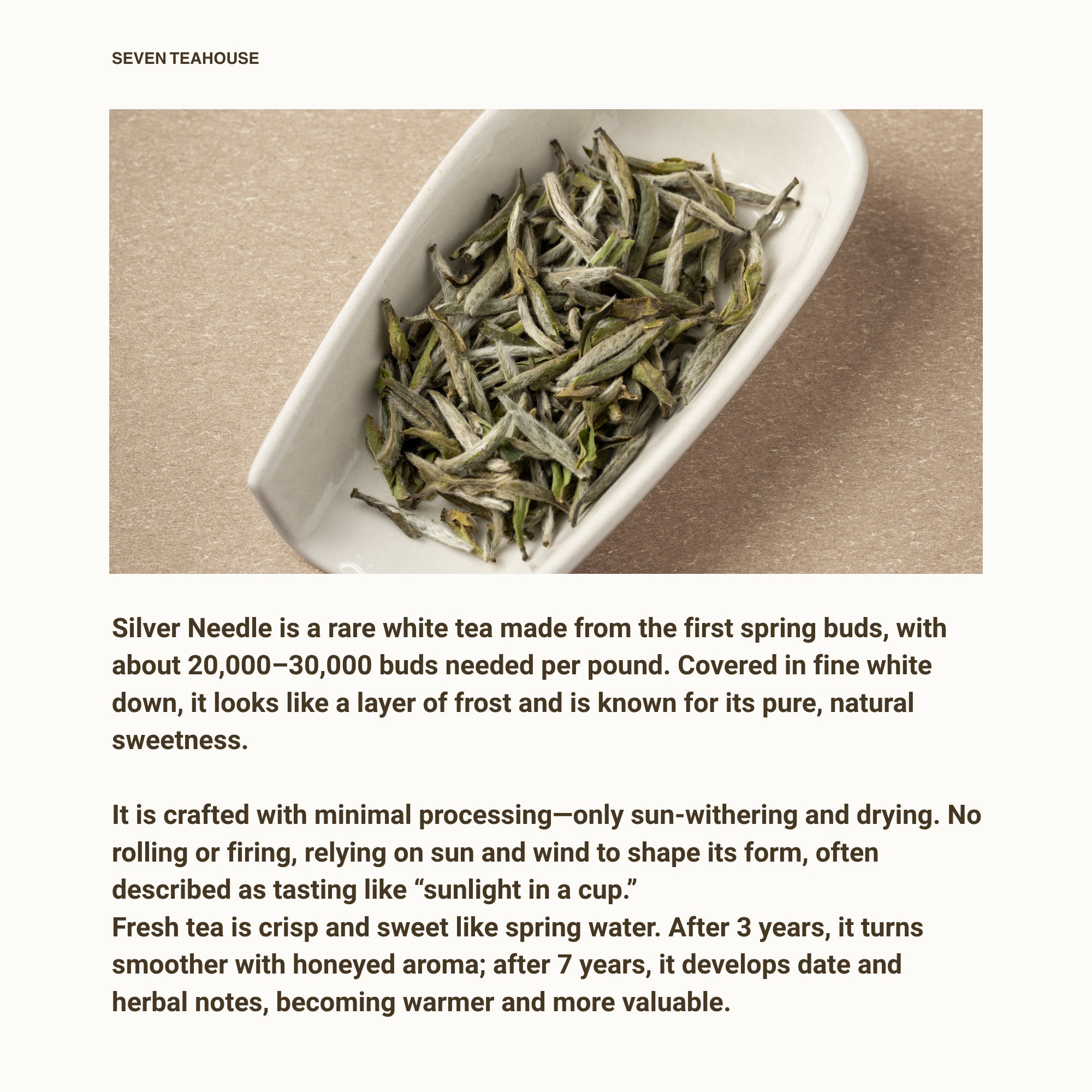 Silver Needle White Tea