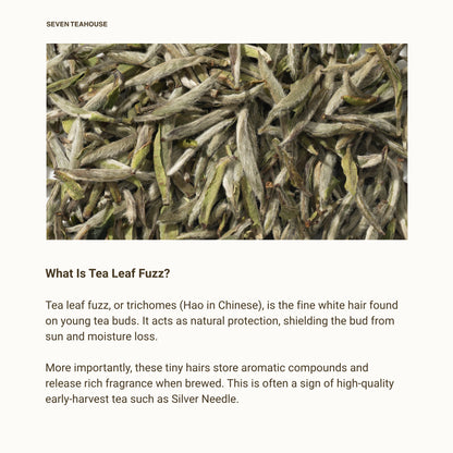 Silver Needle White Tea