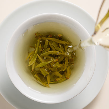 Imperial Dragon Well – Championship Tea Winner