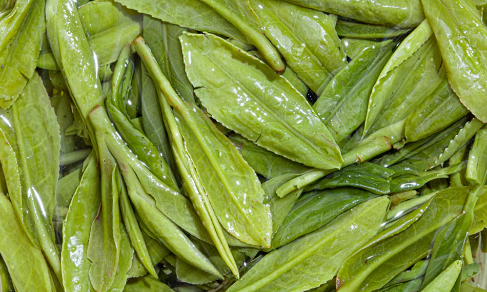 Fresh botanicals