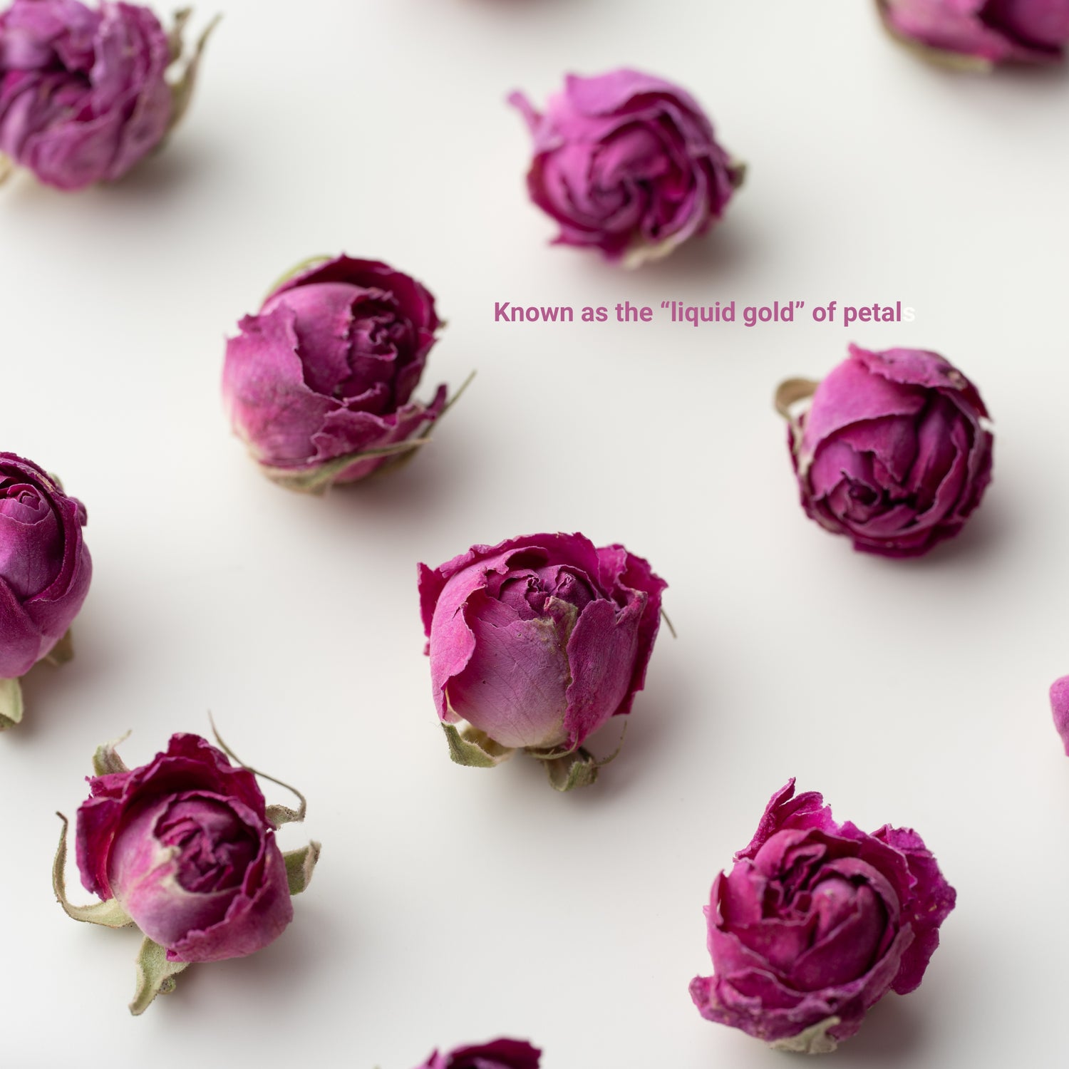 French Rose Herbal Tea