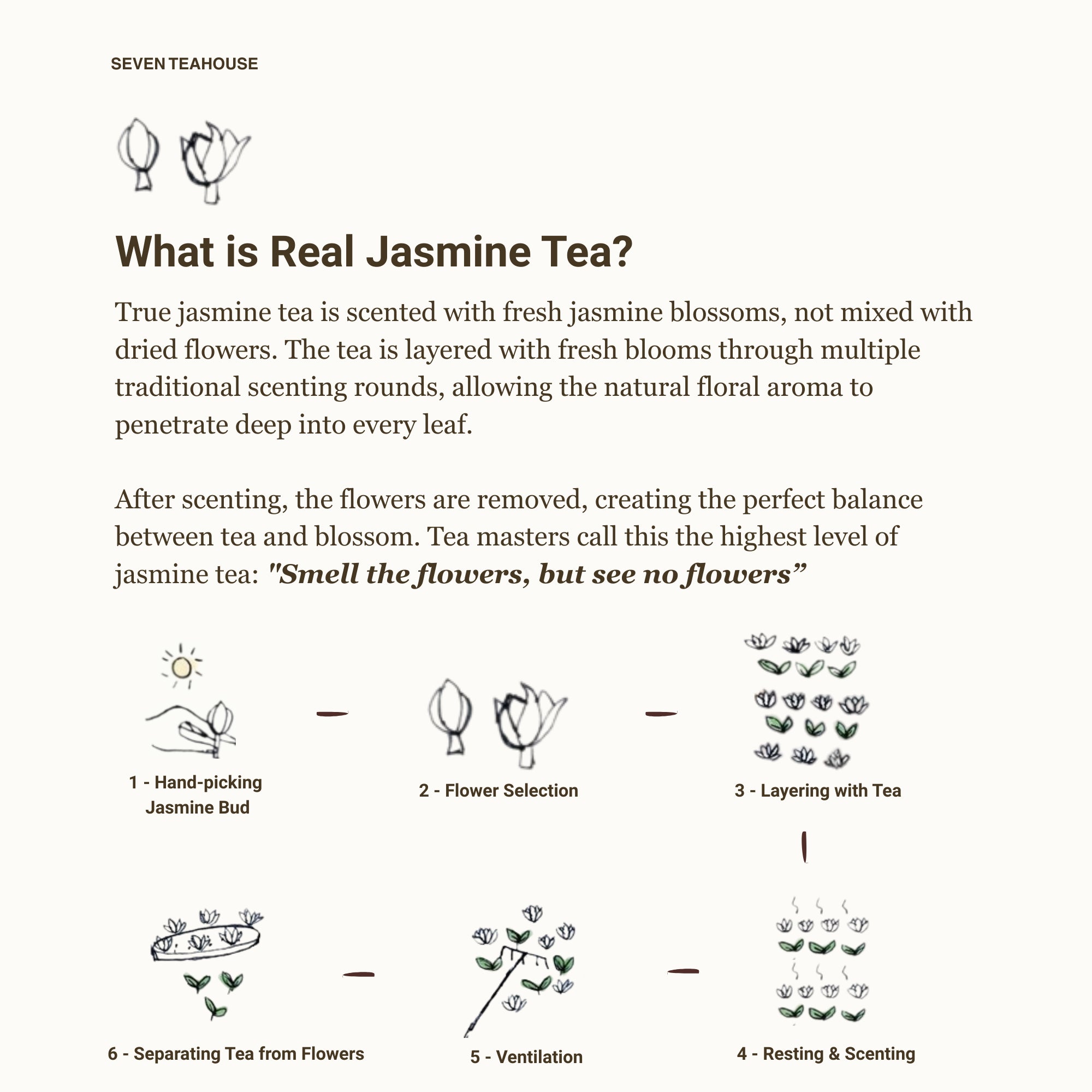 Jasmine Dragon Pearl -Supreme Strong Aroma