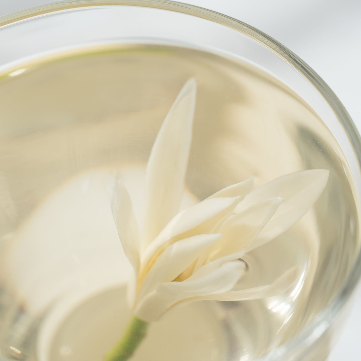 Orchid Frost Yellow Tea