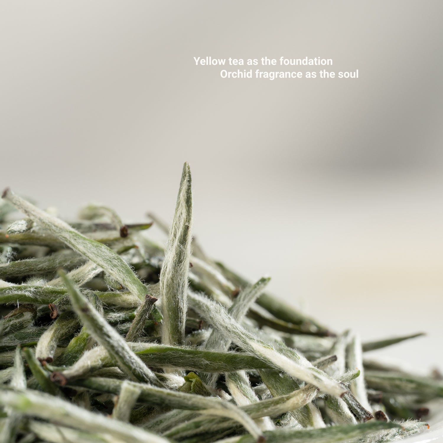 Orchid Frost Yellow Tea