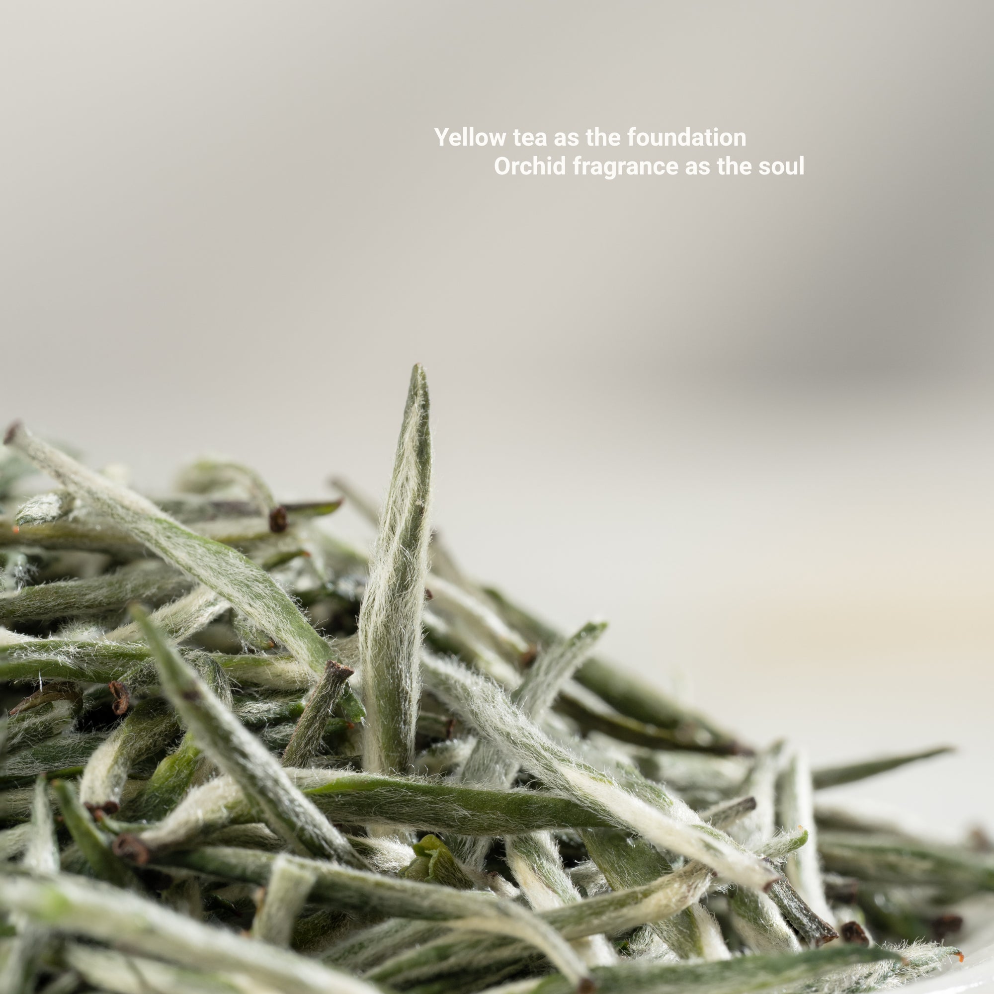 Orchid Frost Yellow Tea