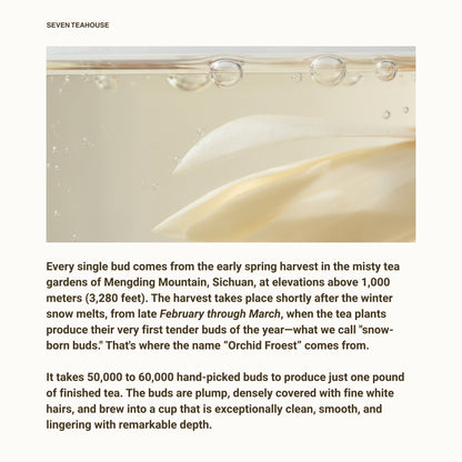 Orchid Frost Yellow Tea