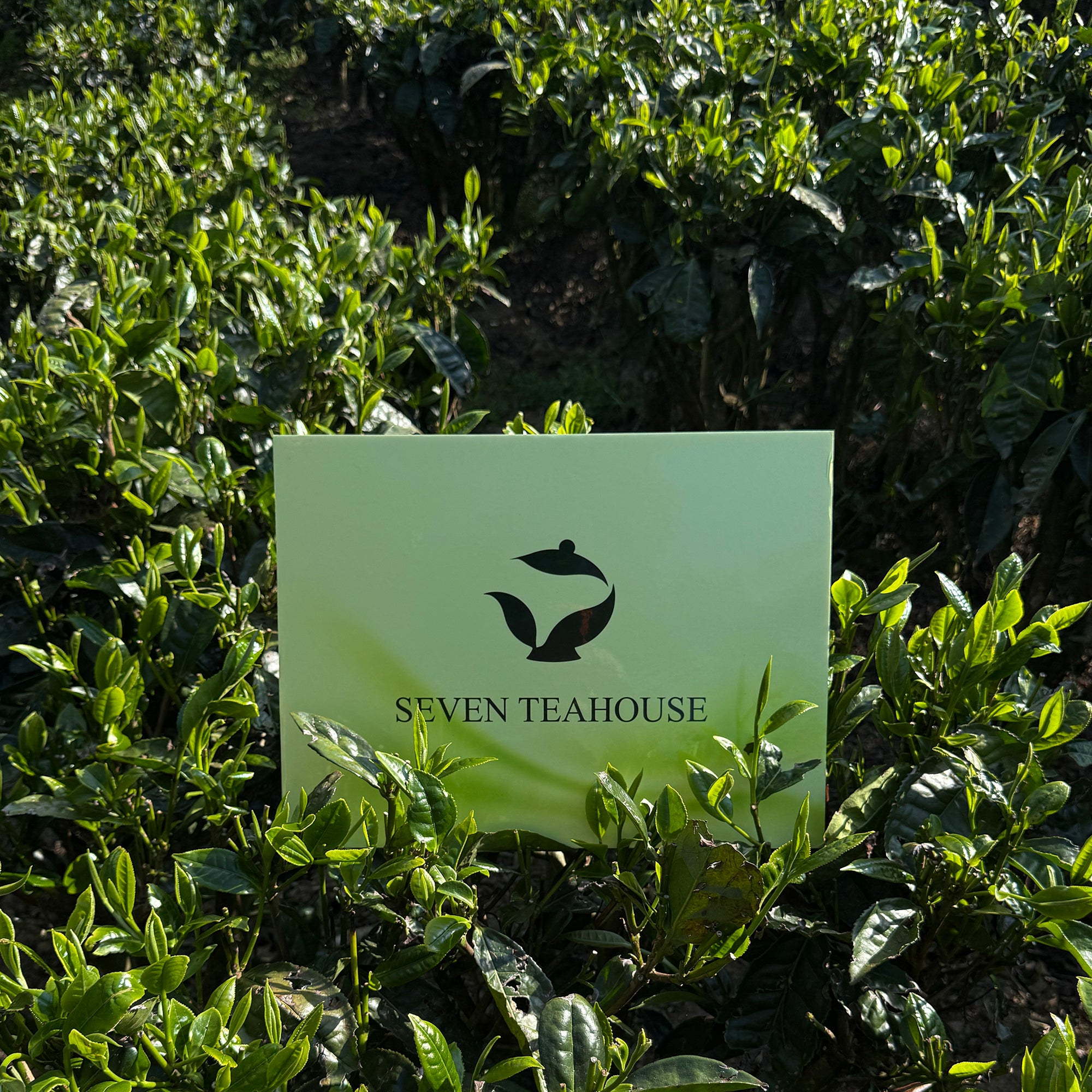 Grape Jasmine Tea