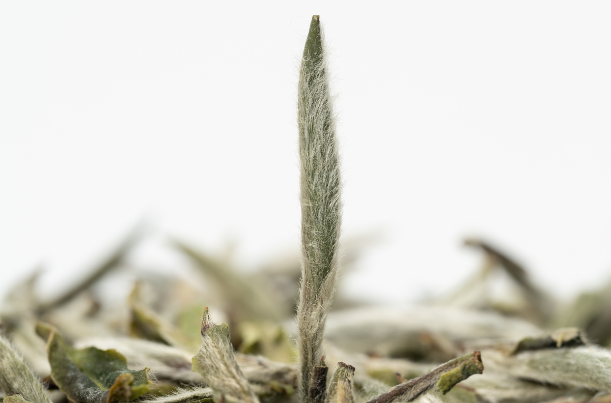 Fresh botanicals