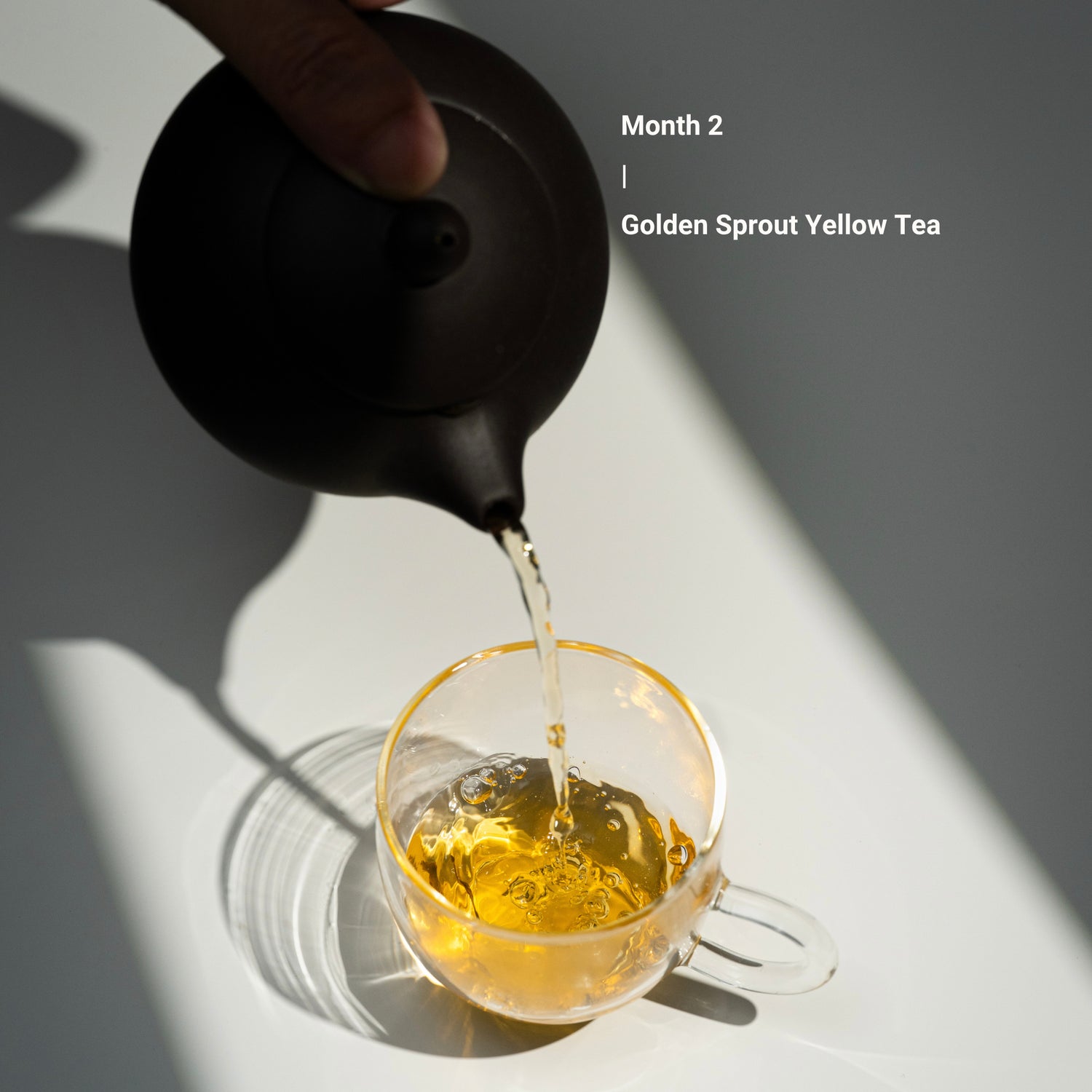 Seven Teahouse 2026 Tea Journey Membership