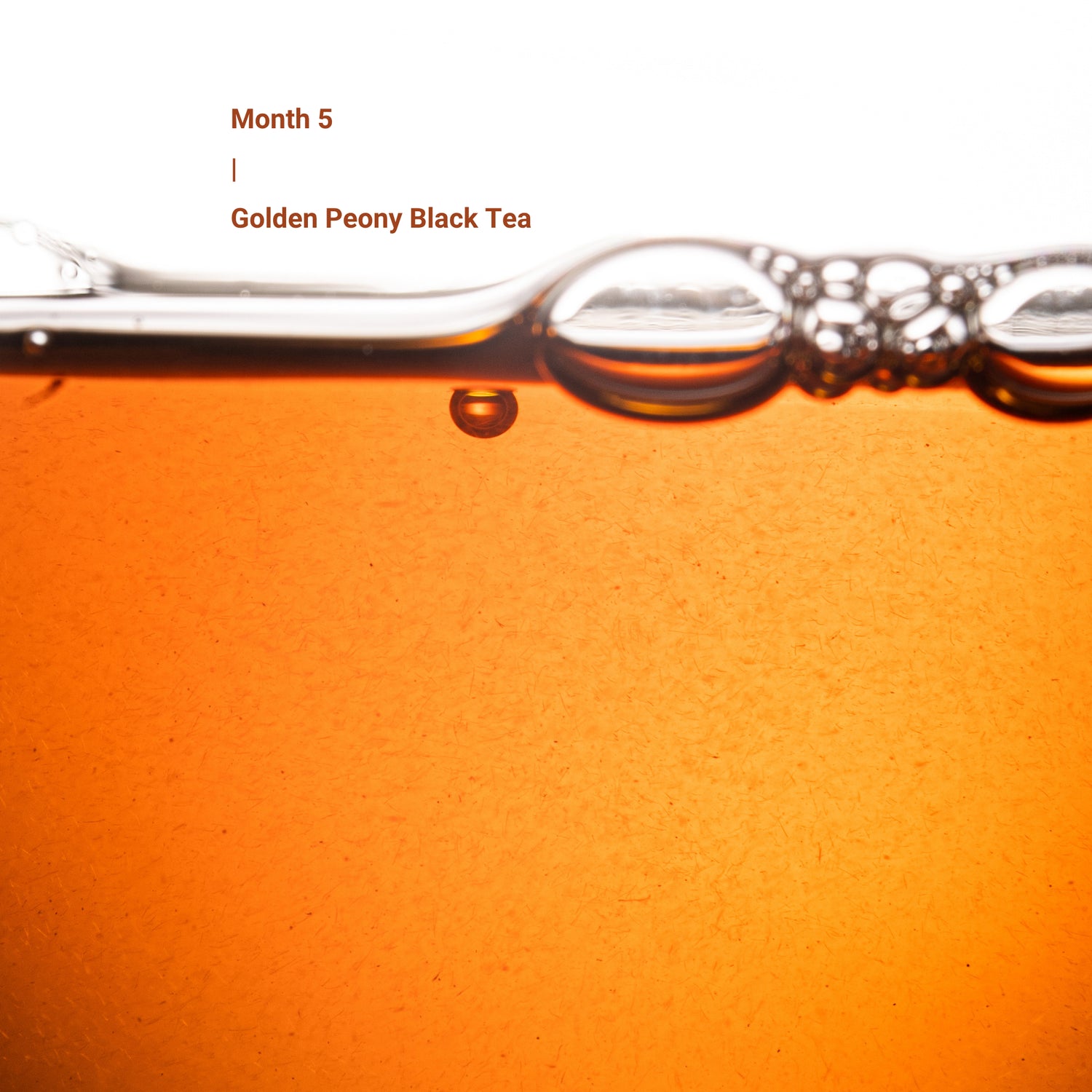 Seven Teahouse 2026 Tea Journey Membership