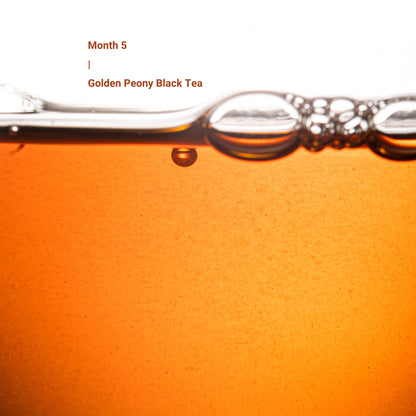 Seven Teahouse 2026 Tea Journey Membership