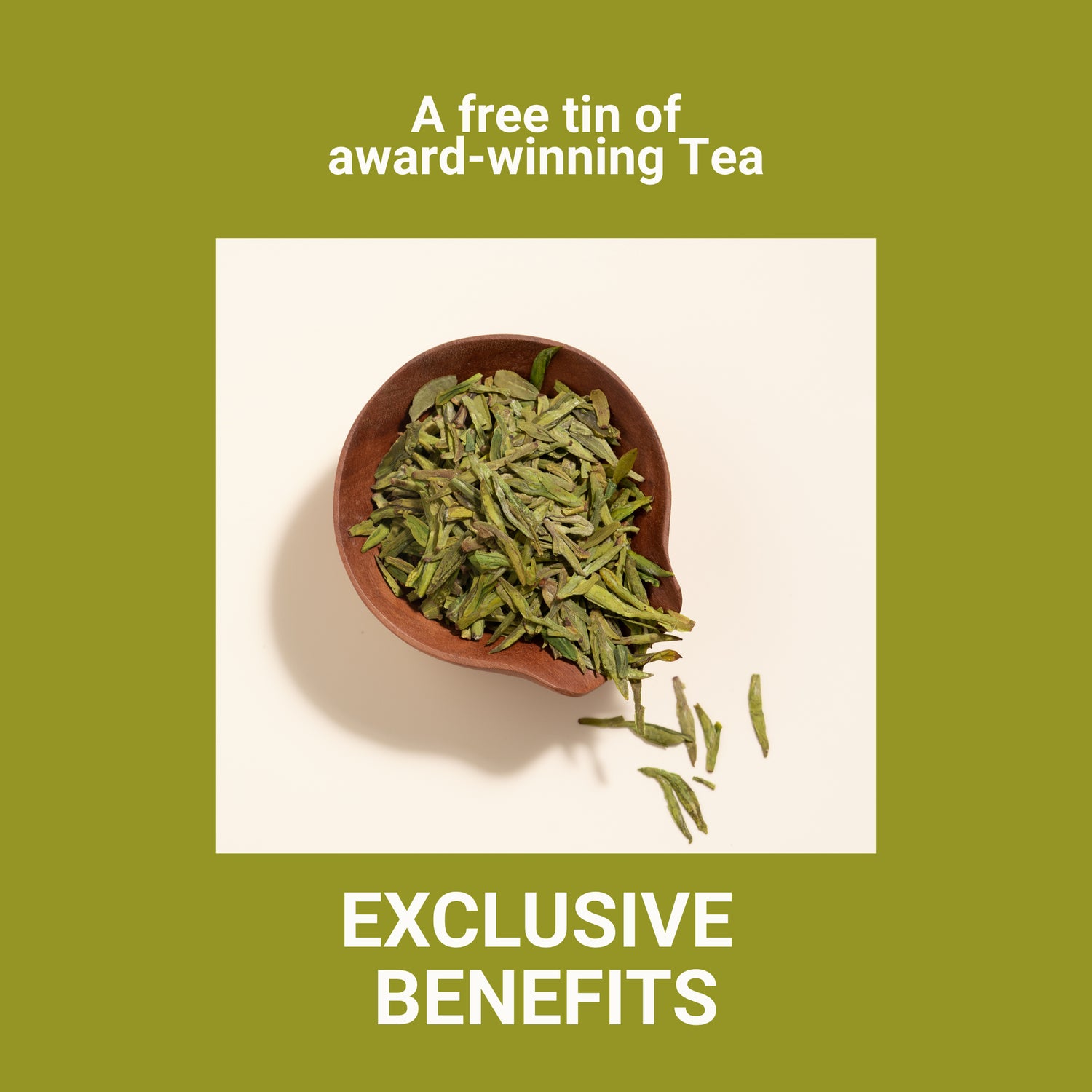 Seven Teahouse 2026 Tea Journey Membership